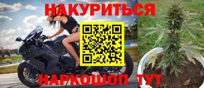 молекула духа Камышлов