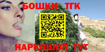 молекула духа Камышлов