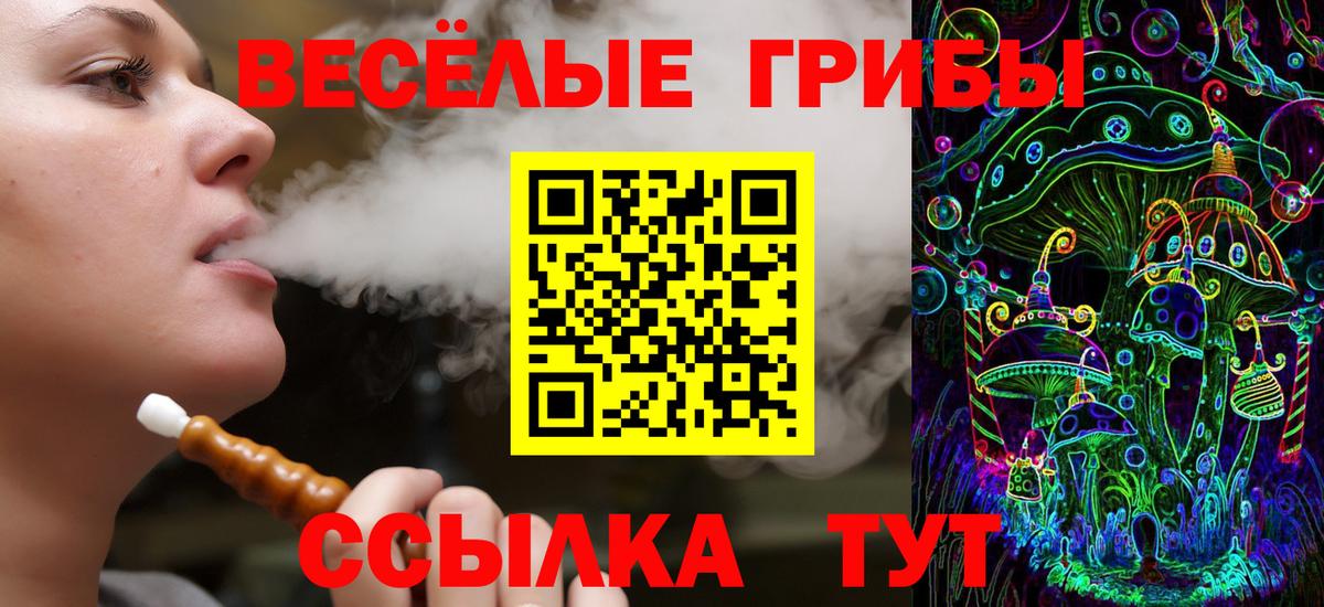 где купить наркотик  Вход с VPN  Люберцы  Псилоцибиновые грибы мицелий 